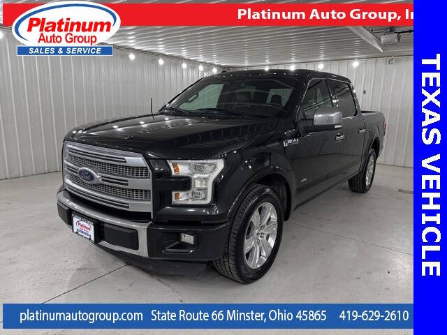 2015 Ford F-150 for sale at Platinum Auto Group Inc. in Minster OH