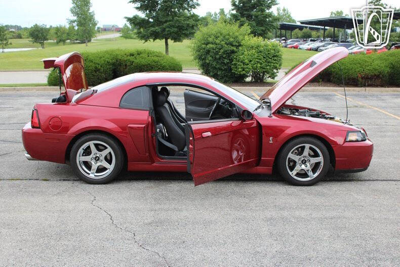2003 Ford Mustang SVT Cobra