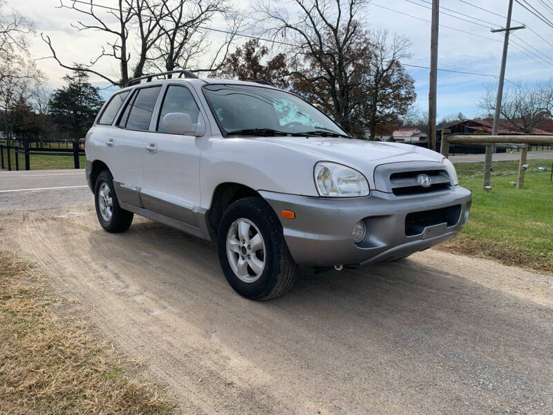 2005 Hyundai Santa Fe for sale at TRAVIS AUTOMOTIVE in Corryton TN