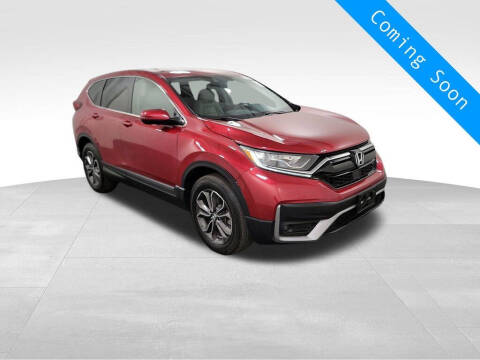 2020 Honda CR-V for sale at INDY AUTO MAN in Indianapolis IN