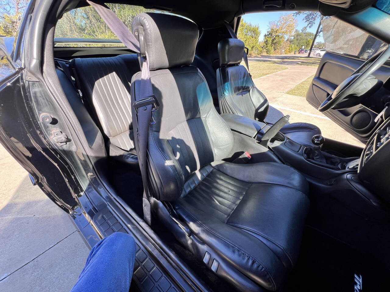 Used Car 2001 Pontiac Firebird  Trans Am 2dr Hatchback For Sale Under $25,000 In Austin, Texas