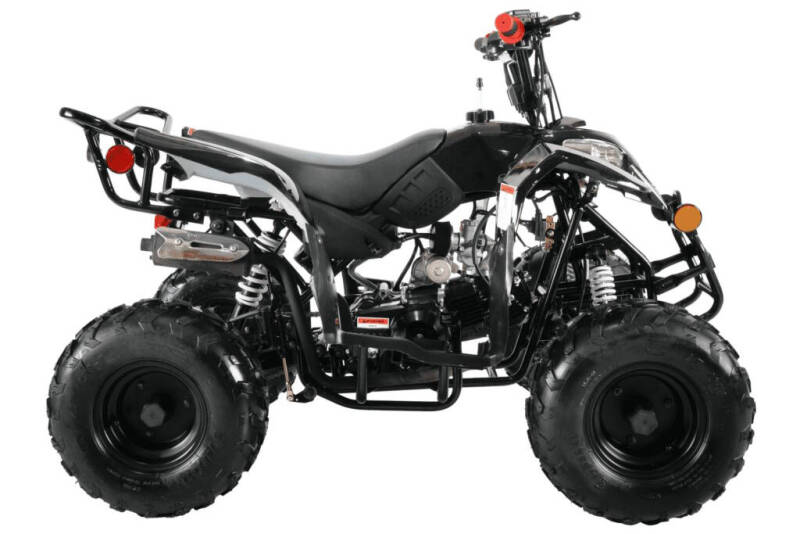 2025 Coolster 110cc 3050B