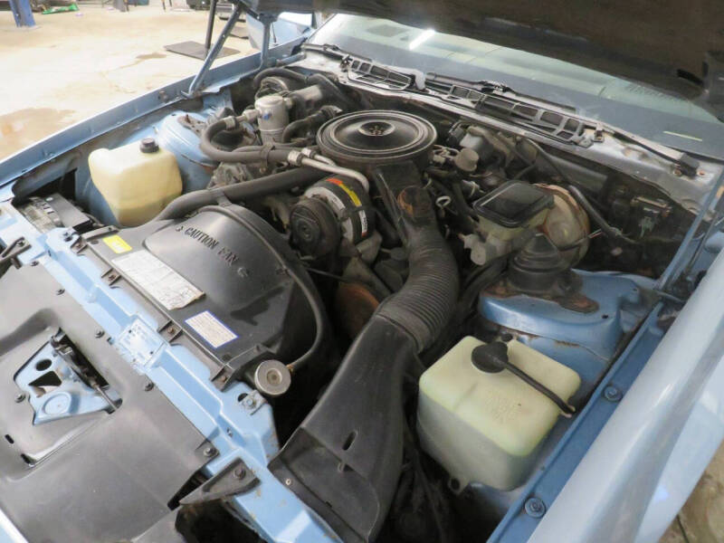 1982 Chevrolet Camaro Berlinetta
