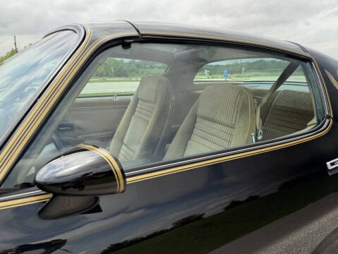 1981 Pontiac Firebird Trans Am