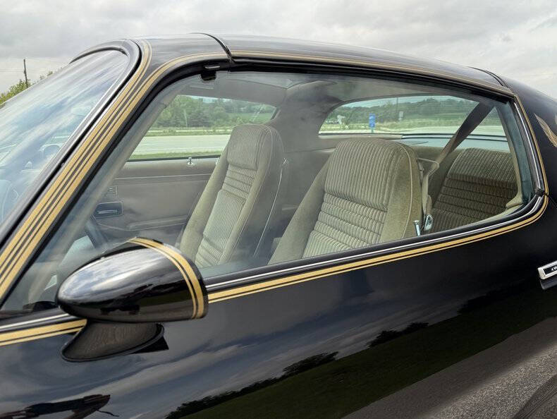 1981 Pontiac Firebird Trans Am