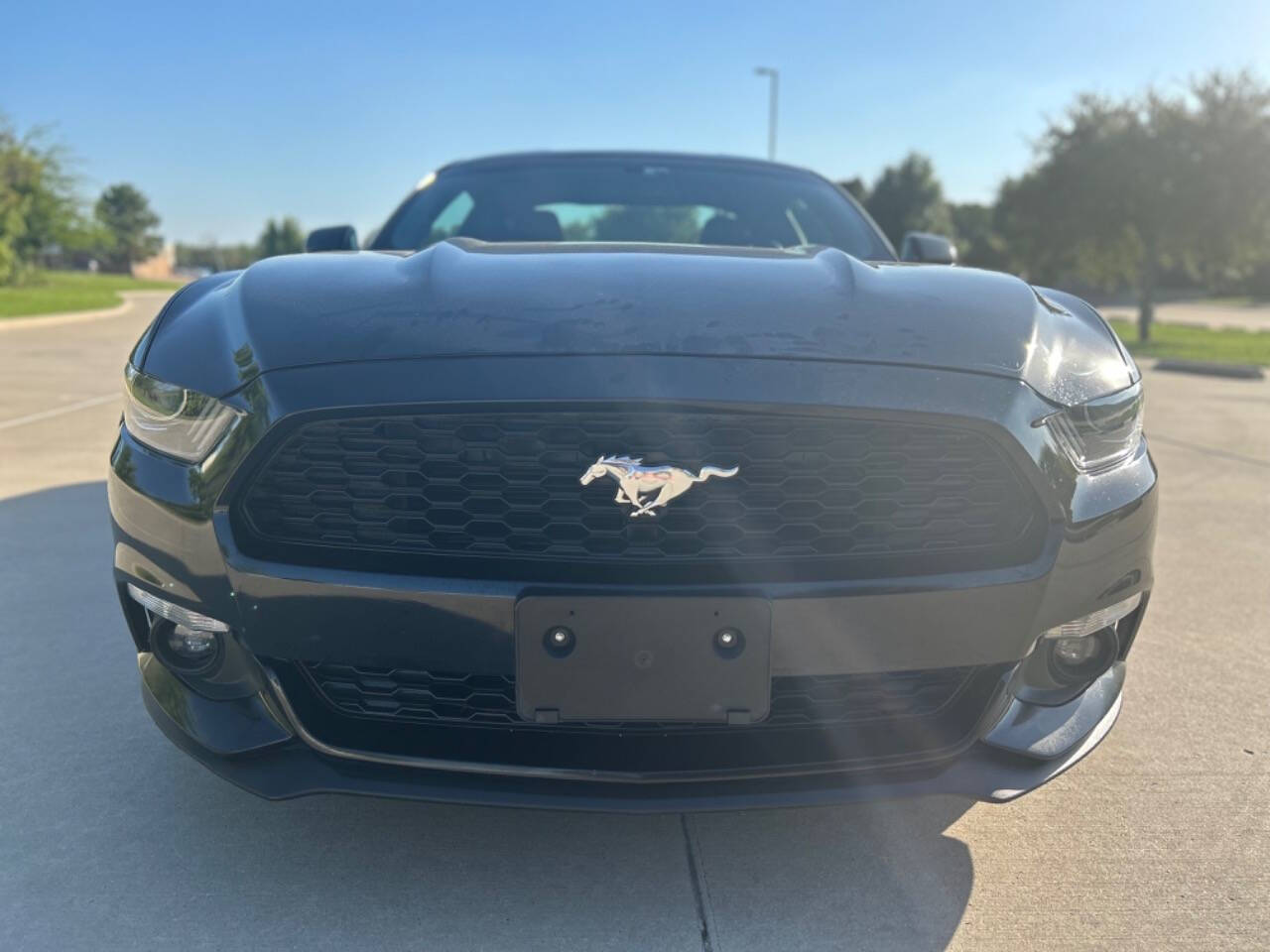 2017 Ford Mustang for sale at Auto Haven in Irving, TX