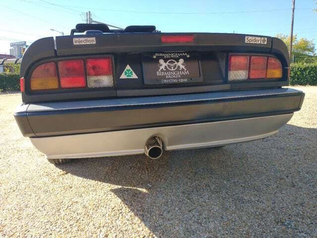 1986 Alfa Romeo Spider Veloce