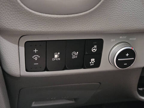 2019 Kia Soul EV +