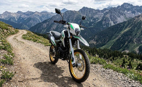 2023 Lifan KPX 250