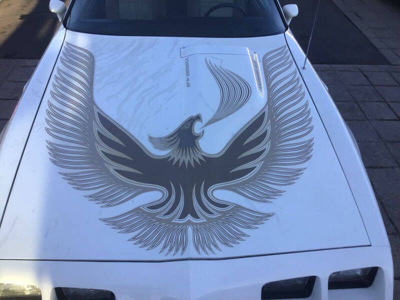 1981 Pontiac Firebird Trans Am