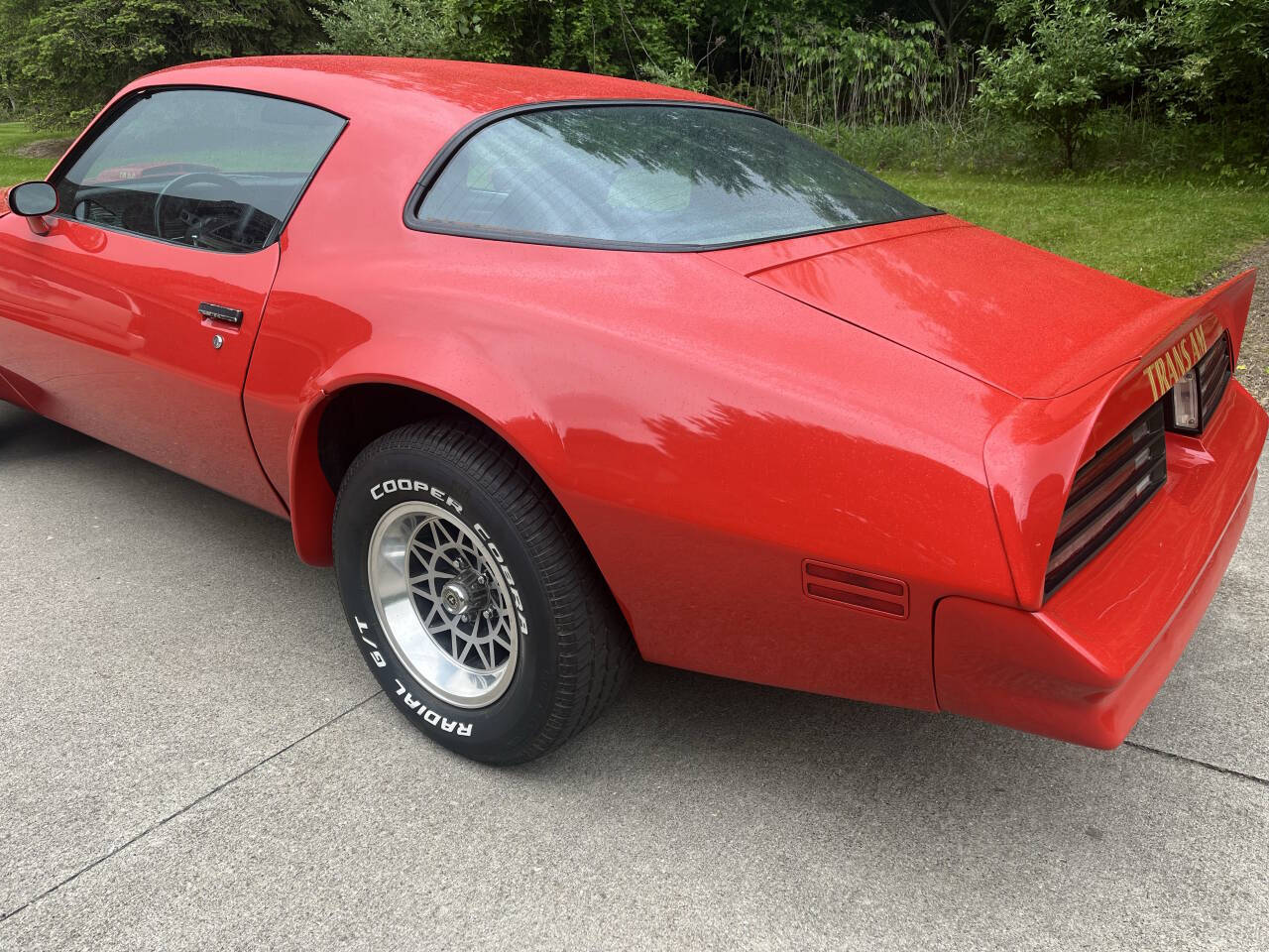 1977 Pontiac Firebird Trans Am 8