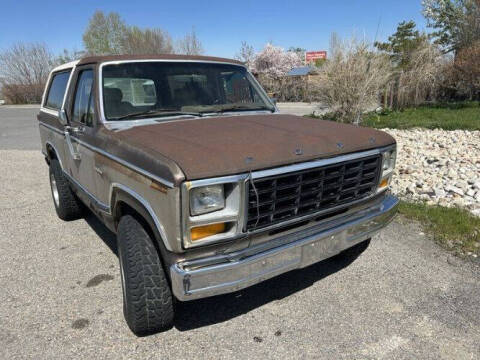 1981 Ford Bronco