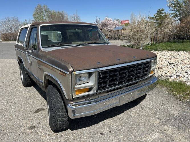 1981 Ford Bronco