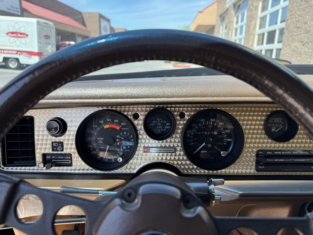 1981 Pontiac Firebird 21