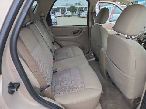 2007 Ford Escape XLT