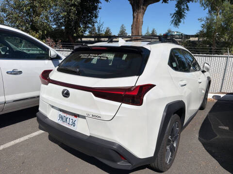 2025 Lexus UX 300h