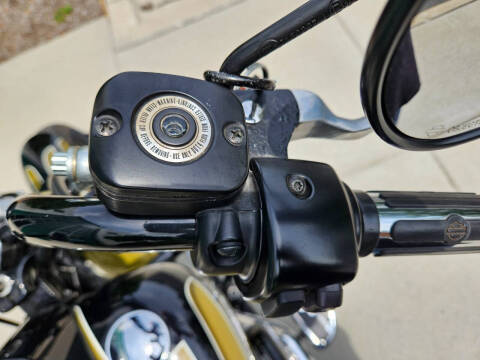 2009 Harley-Davidson FLSTSB CrossBones