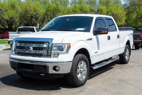 2014 Ford F-150 for sale at Low Cost Cars North in Whitehall OH