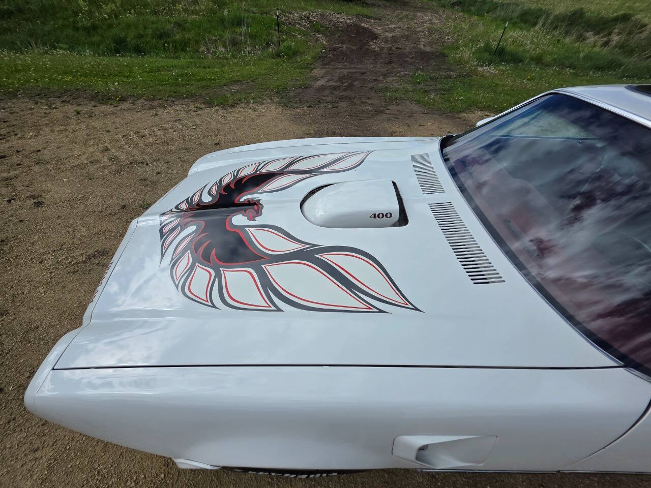 1976 Pontiac Trans Am 171