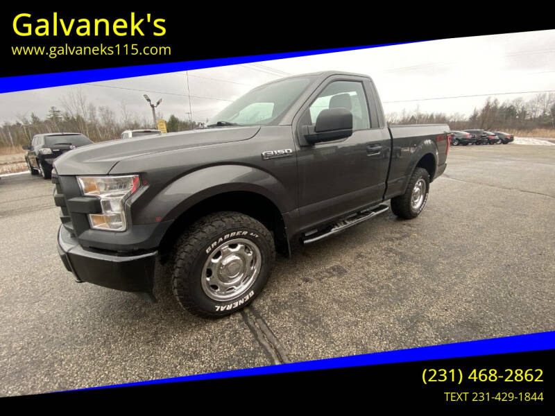 2017 Ford F-150 for sale at Galvanek's in Cadillac MI