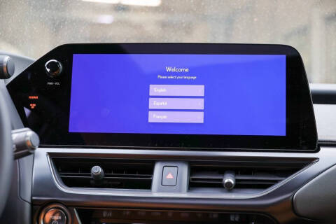 2025 Lexus UX 300h Premium