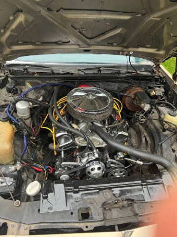 1981 Oldsmobile Cutlass