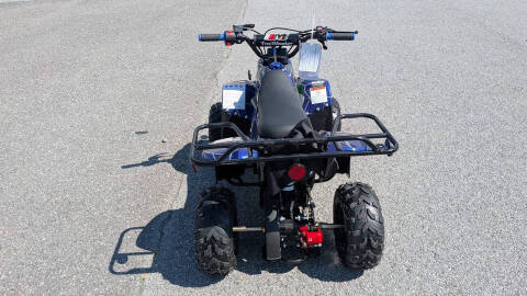 2025 TrailMaster Mini 110 Sport