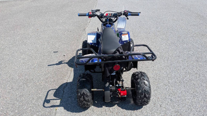 2025 TrailMaster Mini 110 Sport