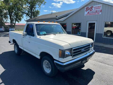1990 Ford F-150 for sale at B & B Auto Sales in Brookings SD