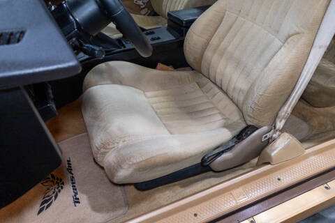 1984 Pontiac Firebird Trans Am