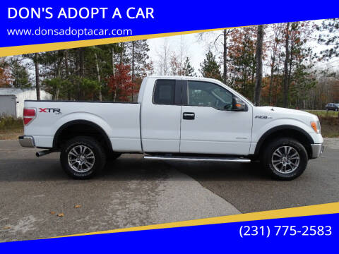 2014 Ford F-150 for sale at DON'S ADOPT A CAR in Cadillac MI