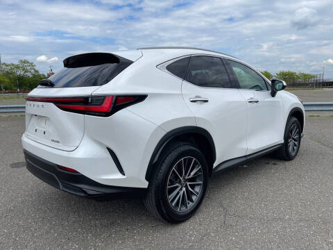 2024 Lexus NX 250