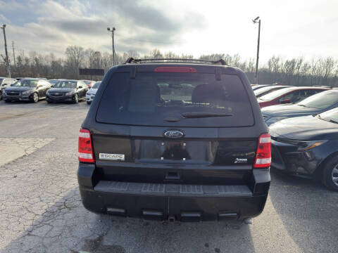 2011 Ford Escape XLT