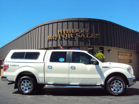 2009 Ford F-150 for sale at Hibdon Motor Sales in Clinton Township MI