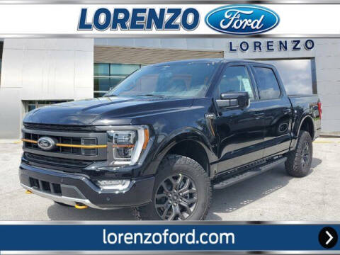 2023 Ford F-150 for sale at Lorenzo Ford in Homestead FL