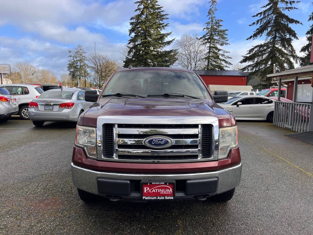 2010 Ford F-150 for sale at PLATINUM AUTO SALES INC in Lacey, WA