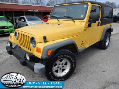 2004 Jeep Wrangler for sale at A M Auto Sales in Belton MO