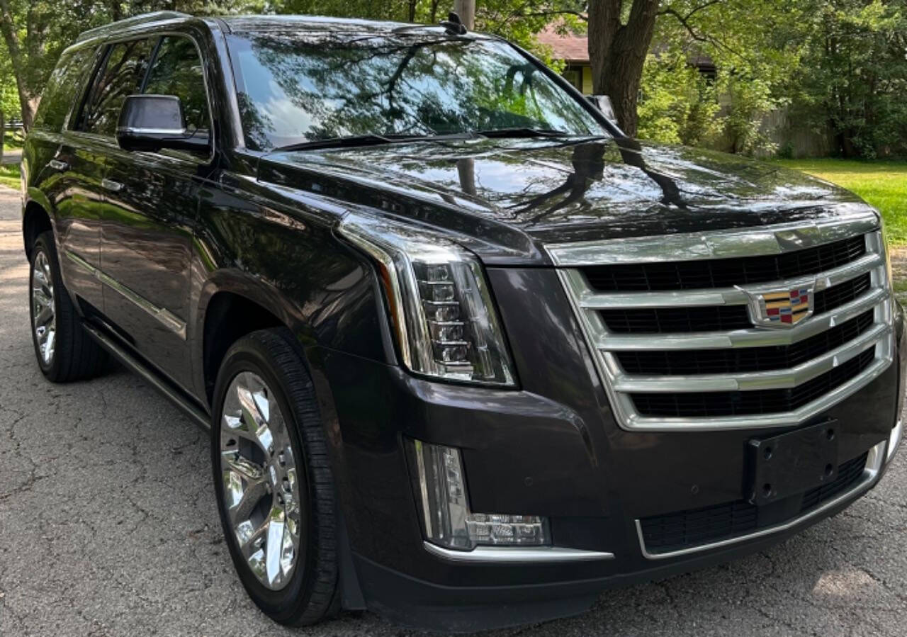 2016 Cadillac Escalade for sale at Quality Cars Of South Elgin in South Elgin, IL