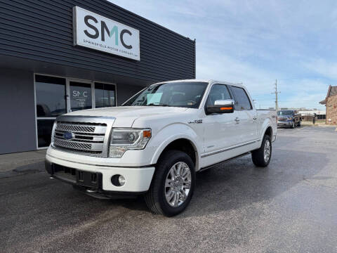 2014 Ford F-150 for sale at Springfield Motor Company in Springfield MO