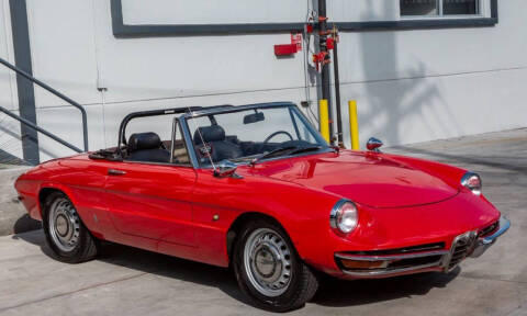1967 Alfa Romeo Spider