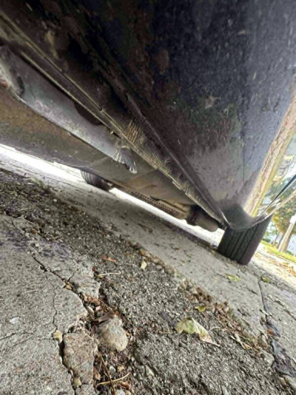 1989 Pontiac Firebird Formula