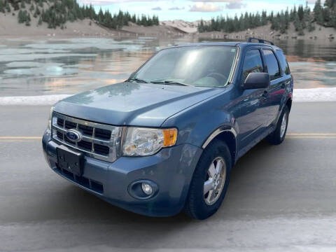 2011 Ford Escape XLT