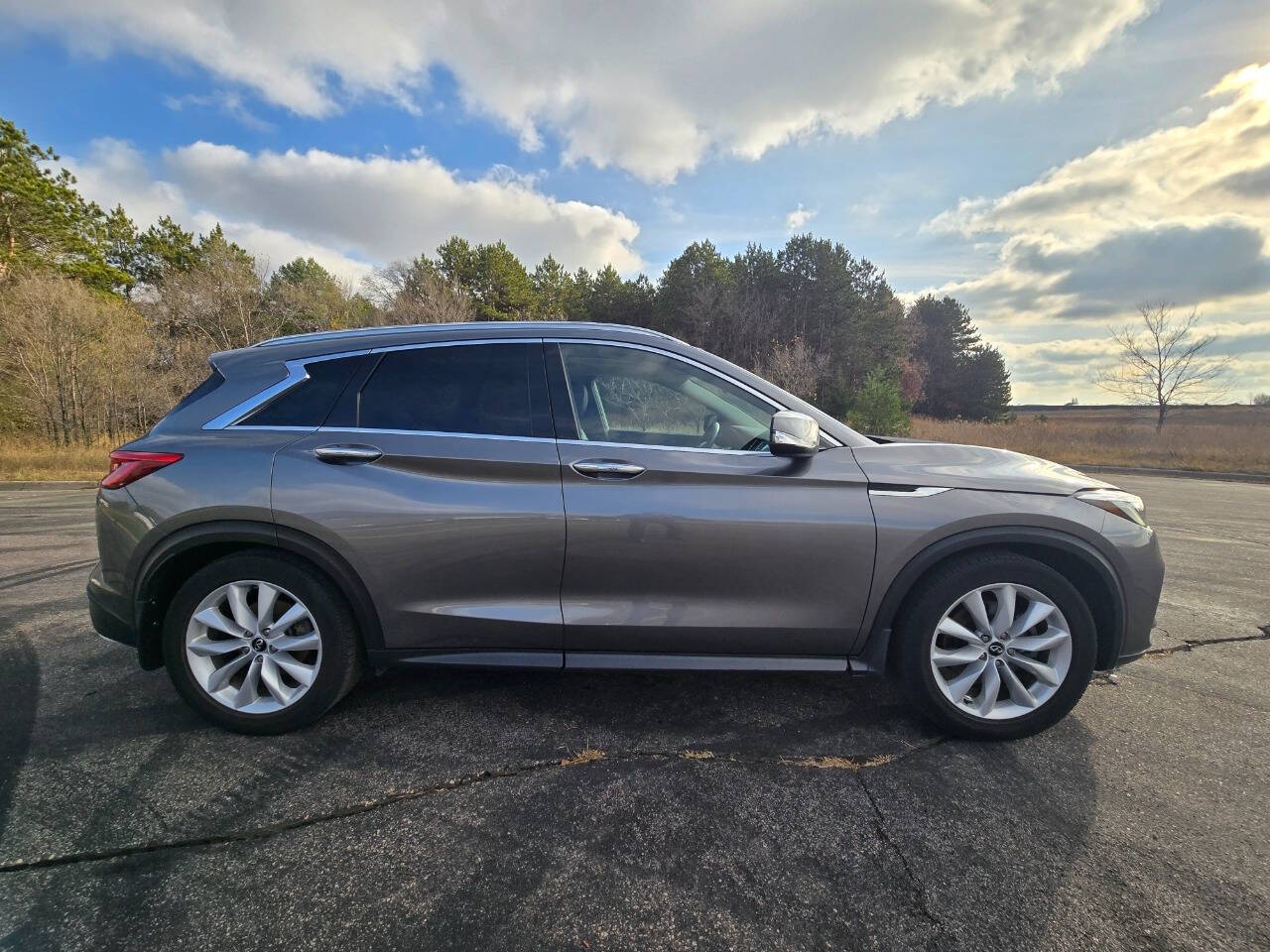 2019 INFINITI QX50 for sale at Dedicated Auto Sales Inc in Elk River, MN