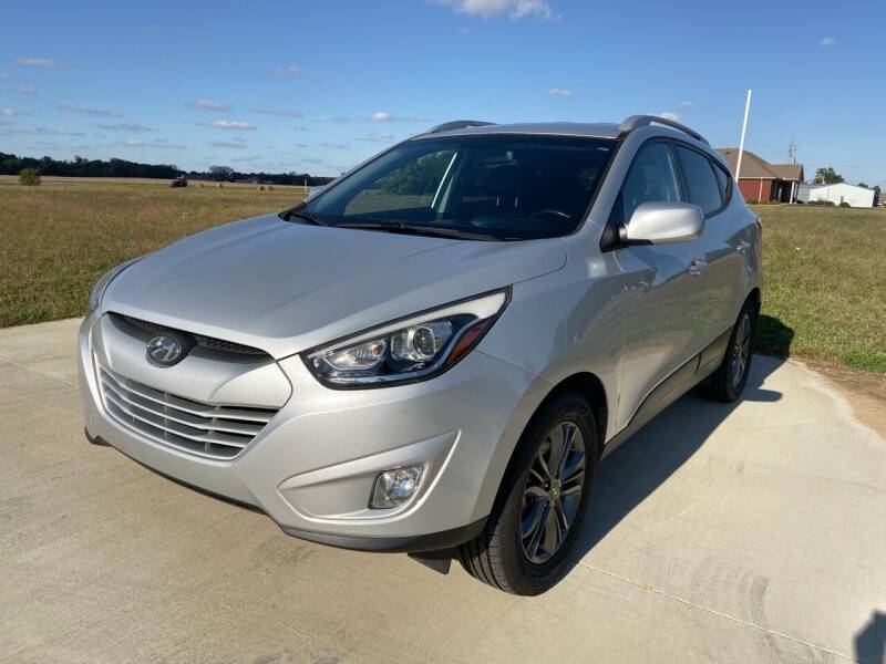 2015 Hyundai Tucson for sale at Sartins Auto Sales in Dyersburg TN