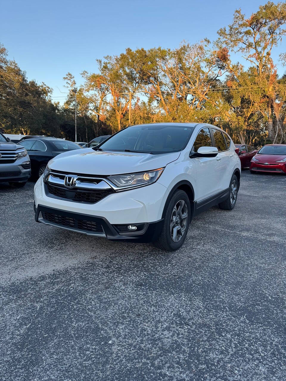 2019 Honda CR-V for sale at GRACELAND AUTO LLC in Thonotosassa, FL