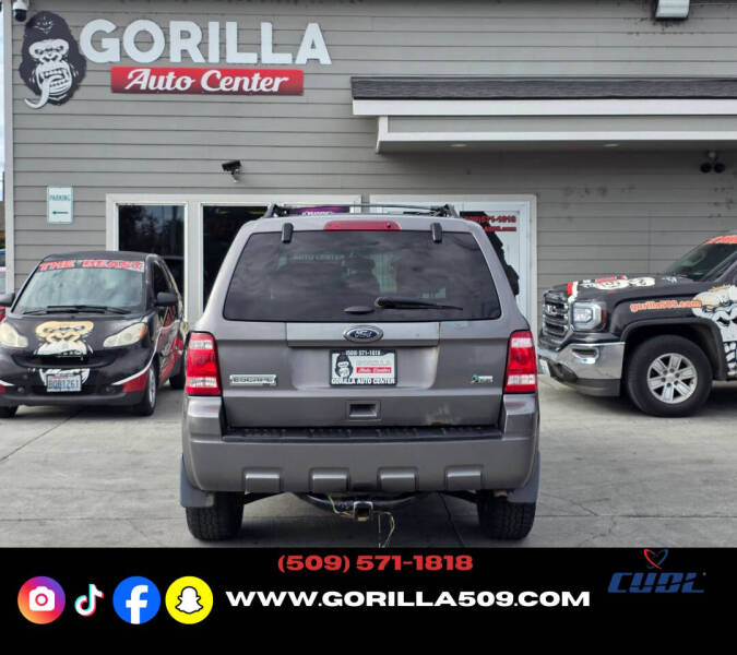 2011 Ford Escape XLT