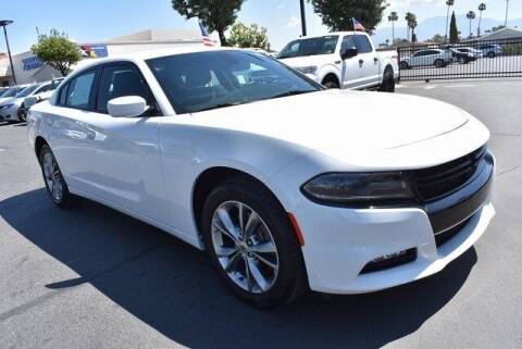 2020 Dodge Charger for sale at DIAMOND VALLEY HONDA in Hemet CA