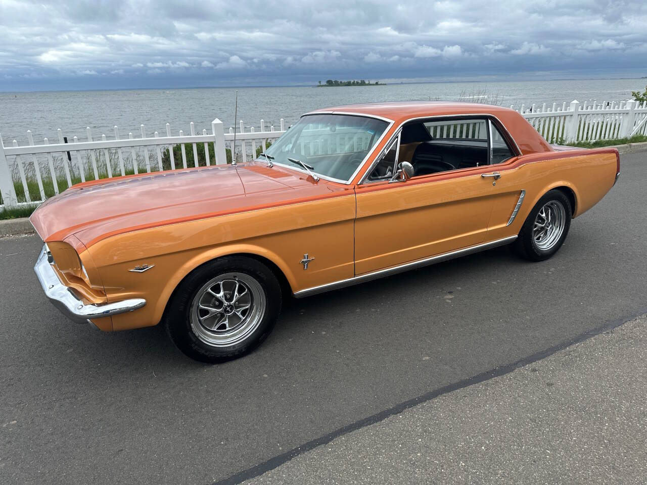 1965 Ford Mustang 3