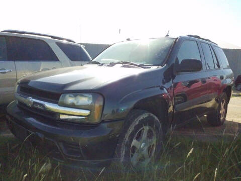 2005 Chevrolet TrailBlazer for sale at Bretz Inc in Dighton KS