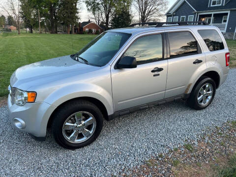 2009 Ford Escape XLT